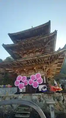 南法華寺（壷阪寺）(奈良県)