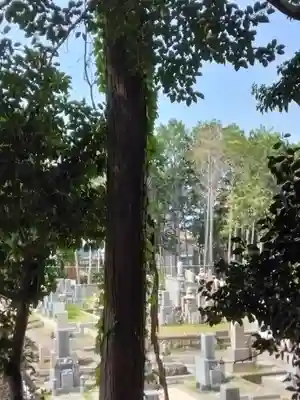 野々上八幡神社(大阪府)