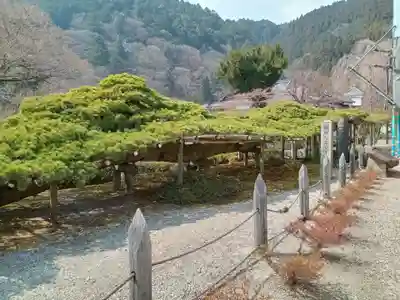 善峯寺(京都府)