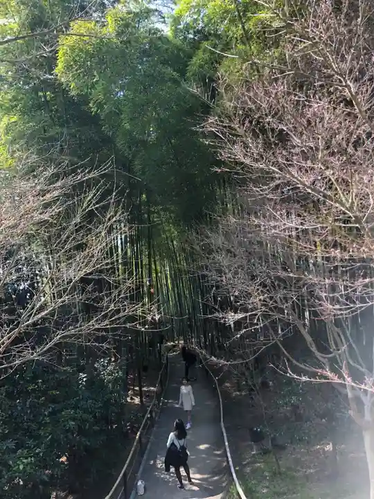 高台寺(高台寿聖禅寺・高臺寺)(京都府)