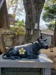 新井天神北野神社の狛犬