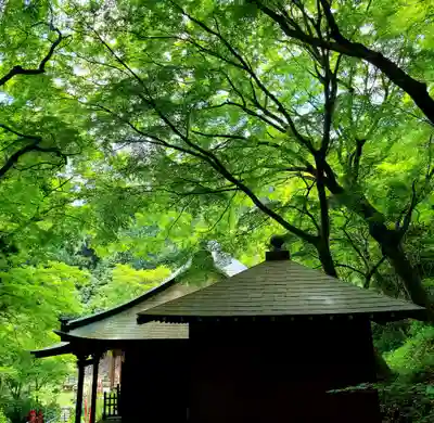 普門寺(切り絵御朱印発祥の寺)(愛知県)