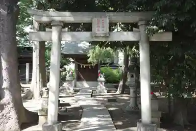 丸子山王日枝神社の鳥居