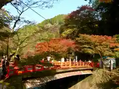 西明寺(京都府)