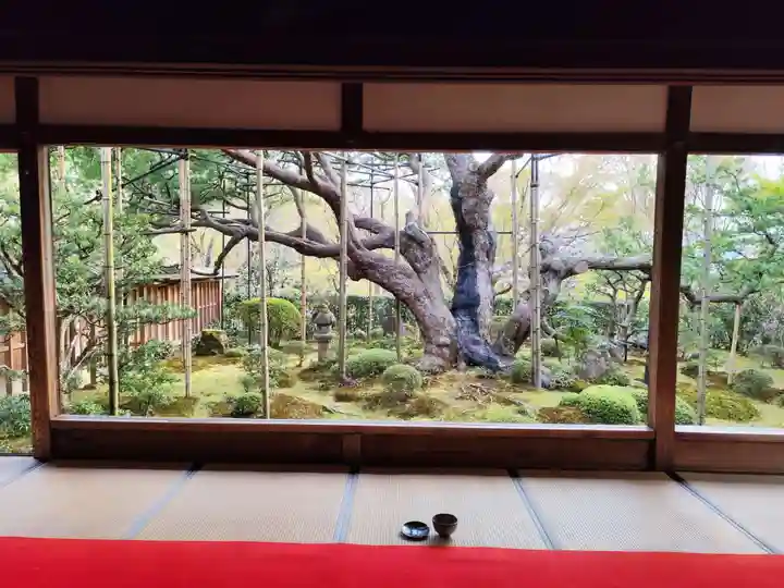 宝泉院(京都府)