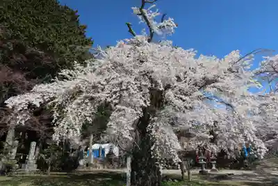 瑠璃寺(長野県)