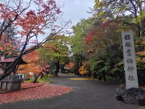 鷹栖神社の自然