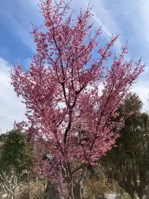 常泉寺(神奈川県)