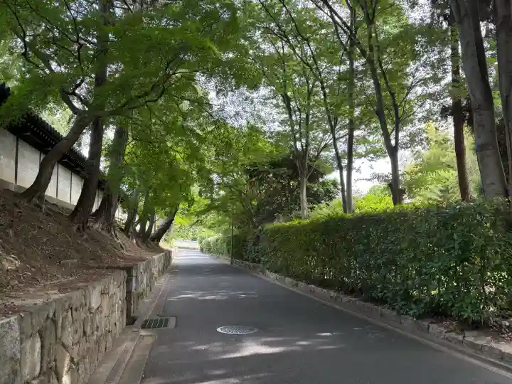 東福禅寺(東福寺)(京都府)