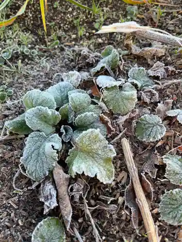 大鏑神社(福島県)