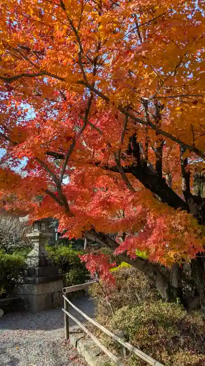 長岡天満宮(京都府)