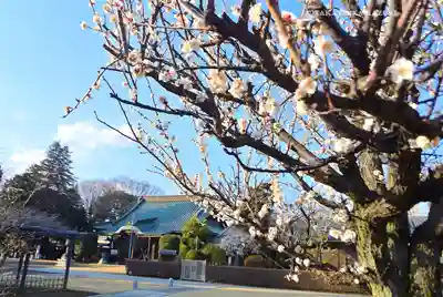 西光院(千葉県)