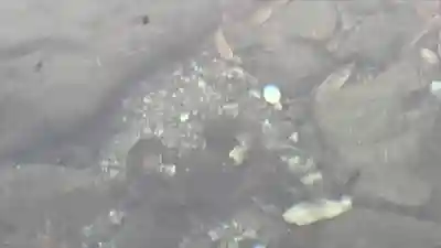 伊勢神宮内宮（皇大神宮）(三重県)