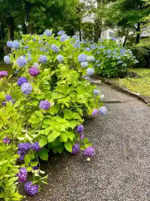 駒止稲荷神社(東京都)