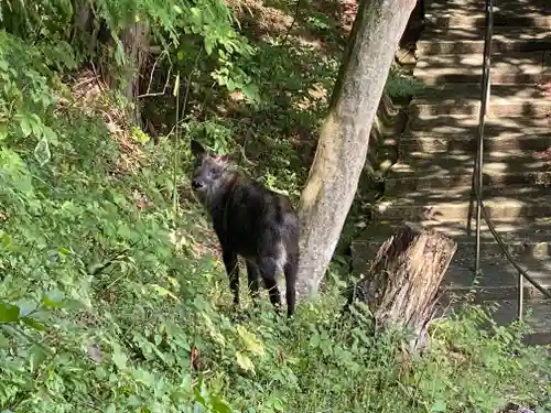 飛騨東照宮(岐阜県)