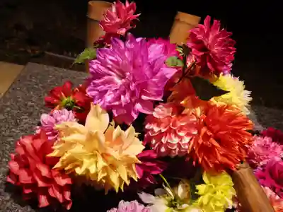 高司神社〜むすびの神の鎮まる社〜(福島県)