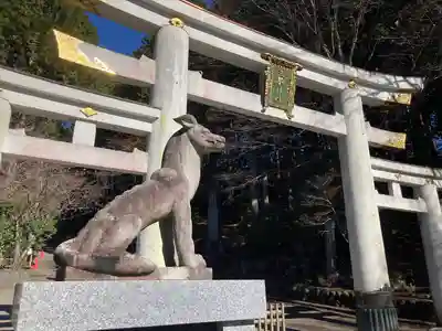 三峯神社の狛犬