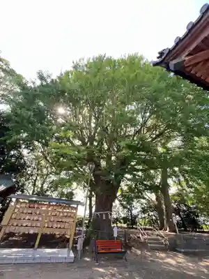 白子神社(千葉県)