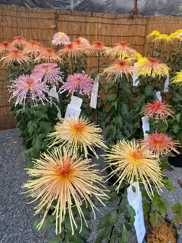 秩父神社の自然