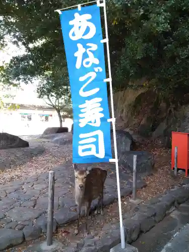 豊国神社 の動物