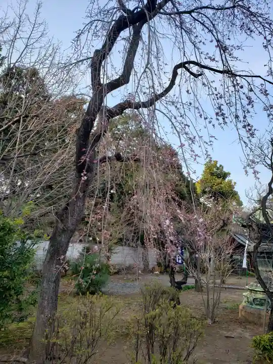 輪王寺両大師堂(寛永寺輪王殿)(東京都)