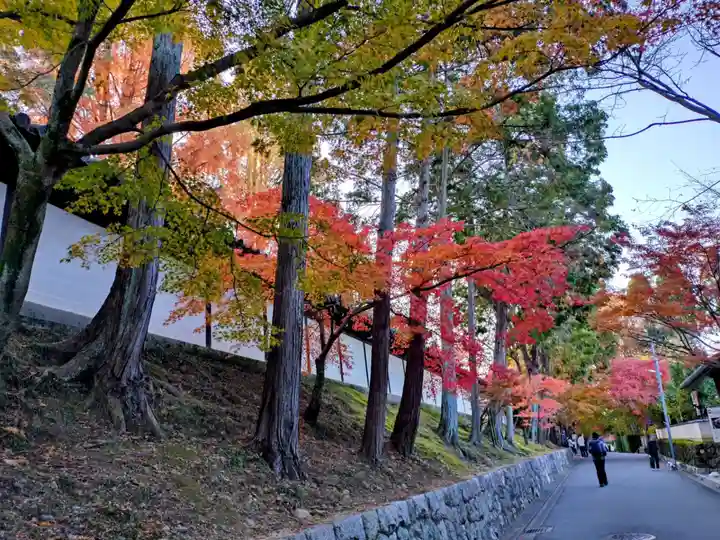 東福禅寺(東福寺)(京都府)