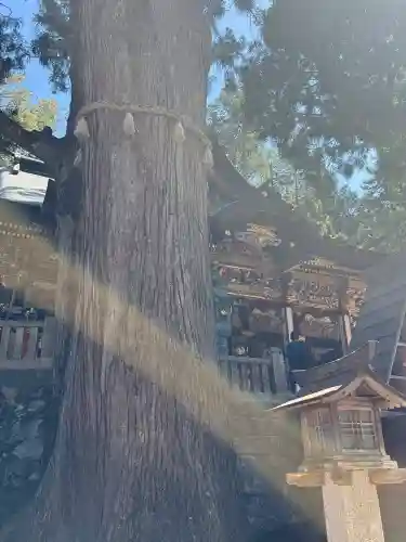 三峯神社の{uncategorized: "未分類", other: "その他", undefined: "問題あり", building: "その他建物", grave: "お墓", sacred_gate: "鳥居", guardian: "狛犬", statue: "像", buddha: "仏像", history: "歴史", nature: "自然", garden: "庭園", animal: "動物", pagoda: "塔", temizu: "手水舎", mountain_gate: "山門・神門", sanctuary: "本殿・本堂", subordinate: "末社・摂社", art: "芸術", scenery: "景色", jizo: "地蔵", ema: "絵馬", goshuin: "御朱印", omikuji: "おみくじ", items: "授与品その他", amulet: "お守り", goshuincho: "御朱印帳", eats: "食事", festival: "お祭り", votive_dance: "神楽", shichigosan: "七五三参", wedding: "結婚式", experience: "体験その他", initially: "初詣", around: "周辺", anti_infection: "感染症対策"}