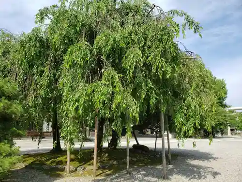 富山縣護國神社の周辺