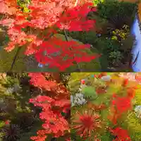 寿量山 速成寺の自然