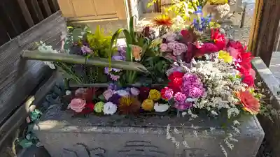 勝林寺(京都府)