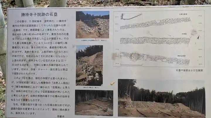 勝持寺(花の寺)(京都府)