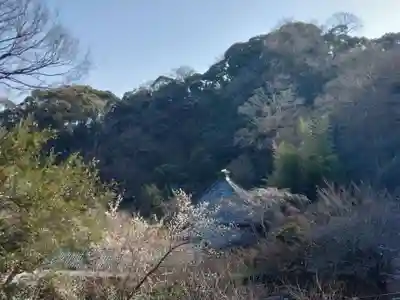 光則寺(神奈川県)