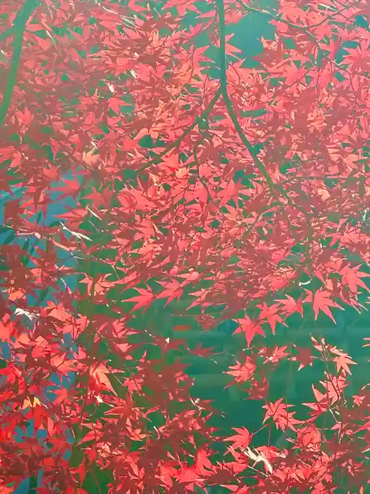 深大寺(東京都)