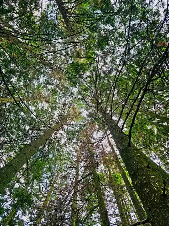 美幌神社(北海道)