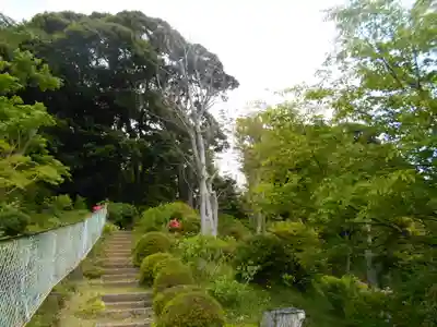 仏行寺（佛行寺）の庭園