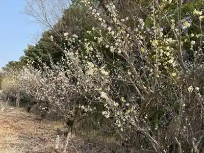鏑射寺(兵庫県)