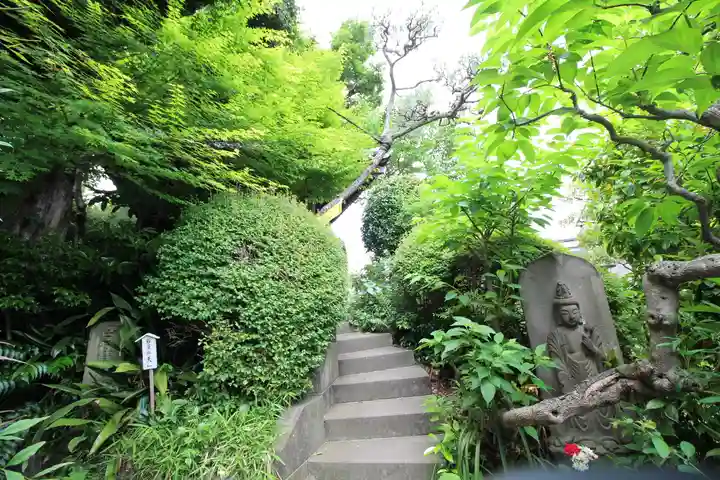 蟠龍寺(東京都)