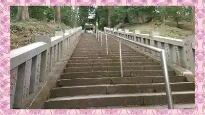 達磨寺(群馬県)