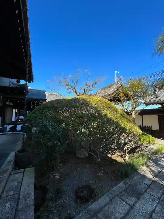 妙光寺(滋賀県)