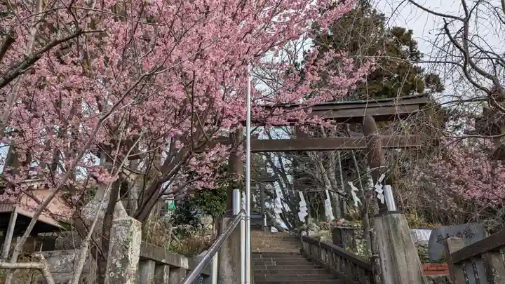 琴平神社の自然