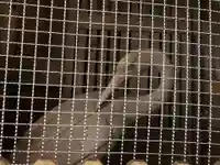 鶴林寺(徳島県)