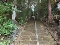 琴平神社(埼玉県)