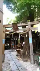 少彦名神社の鳥居