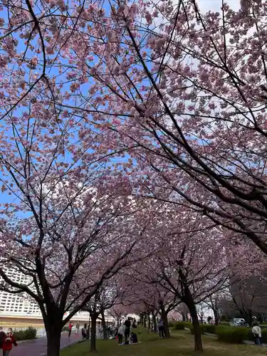 石濱神社の自然