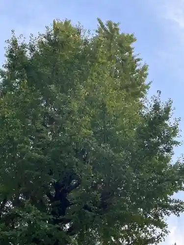 伊勢の国 四天王寺(三重県)