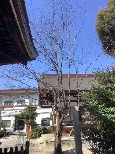 三輪神社の自然