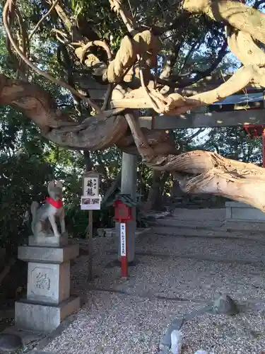 豊藤稲荷神社のその他建物