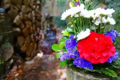 狸谷山不動院(京都府)