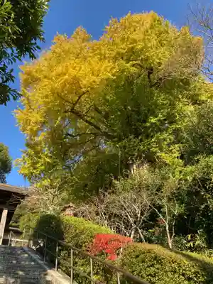 荏柄天神社(神奈川県)