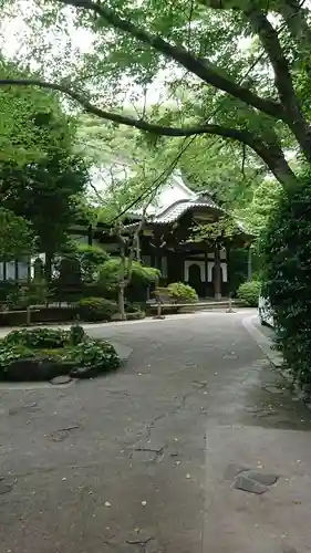 妙本寺の本殿・本堂